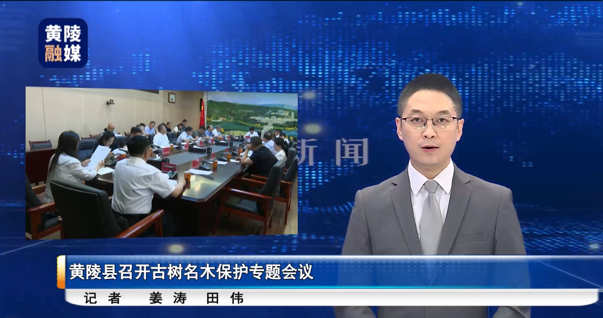 2025年黄陵县召开古树名木保护专题会议